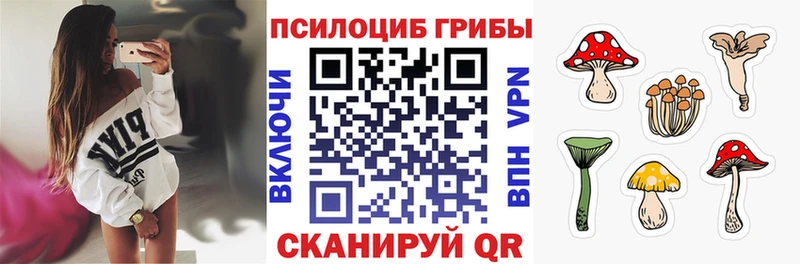 Купить закладки Приозерск Галлюциногенные грибы мухоморы